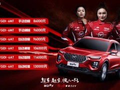 2019款  1.6TGDI 手动劲版报价