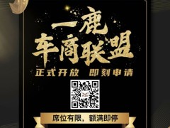  秦新能源 2019款  出行标准版