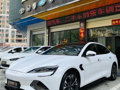 2022款  550km 标准续航后驱版尊贵型