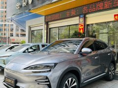 2023款  冠军版 EV 520KM 尊贵型报价