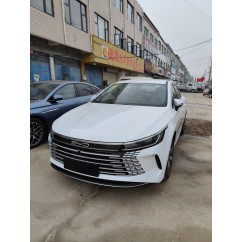 驱逐舰05 23款 冠军 DM-i 120KM 豪华