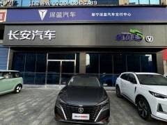 2023款  畅享版 PLUS 蓝鲸NE 1.4T GDI DCT尊贵版