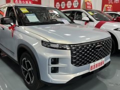 2024款 悦野版 1.6T 四驱领潮