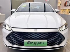 2024款 荣耀版 DM-i 55KM领先型