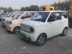 2024款 mini 200km 耐力熊